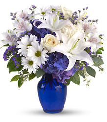 Beautiful in Blue from Philips' Flower & Gift Shop